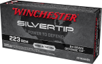 Winchester Ammo Silvertip, Win W223st     223        64 St              20/10