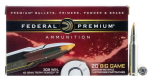 Federal Premium, Fed P308tt2        308     165 Tb            20/10