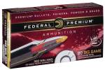 Federal Premium, Fed P300wtt1       300     180 Tb            20/10