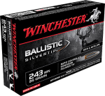 Winchester Ammo Ballistic Silvertip, Win Sbst243a      243     95blst             20/10