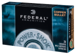 Federal Power-shok, Fed 24385lfa       243      85 Cop           20/10